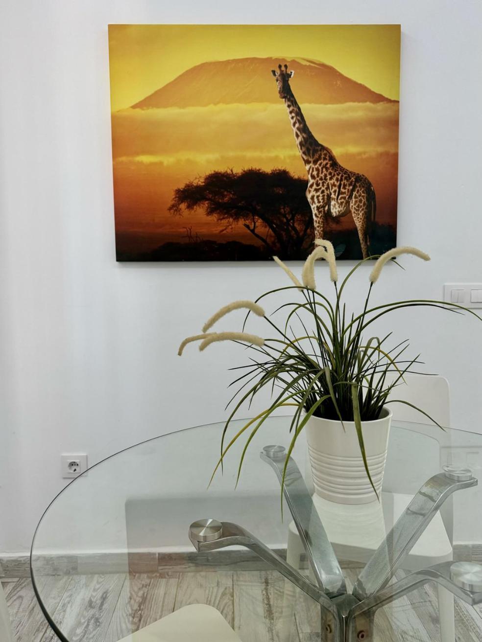 San Eugenio Charming Renovated Apartment Tenerife Costa Adeje  Ngoại thất bức ảnh