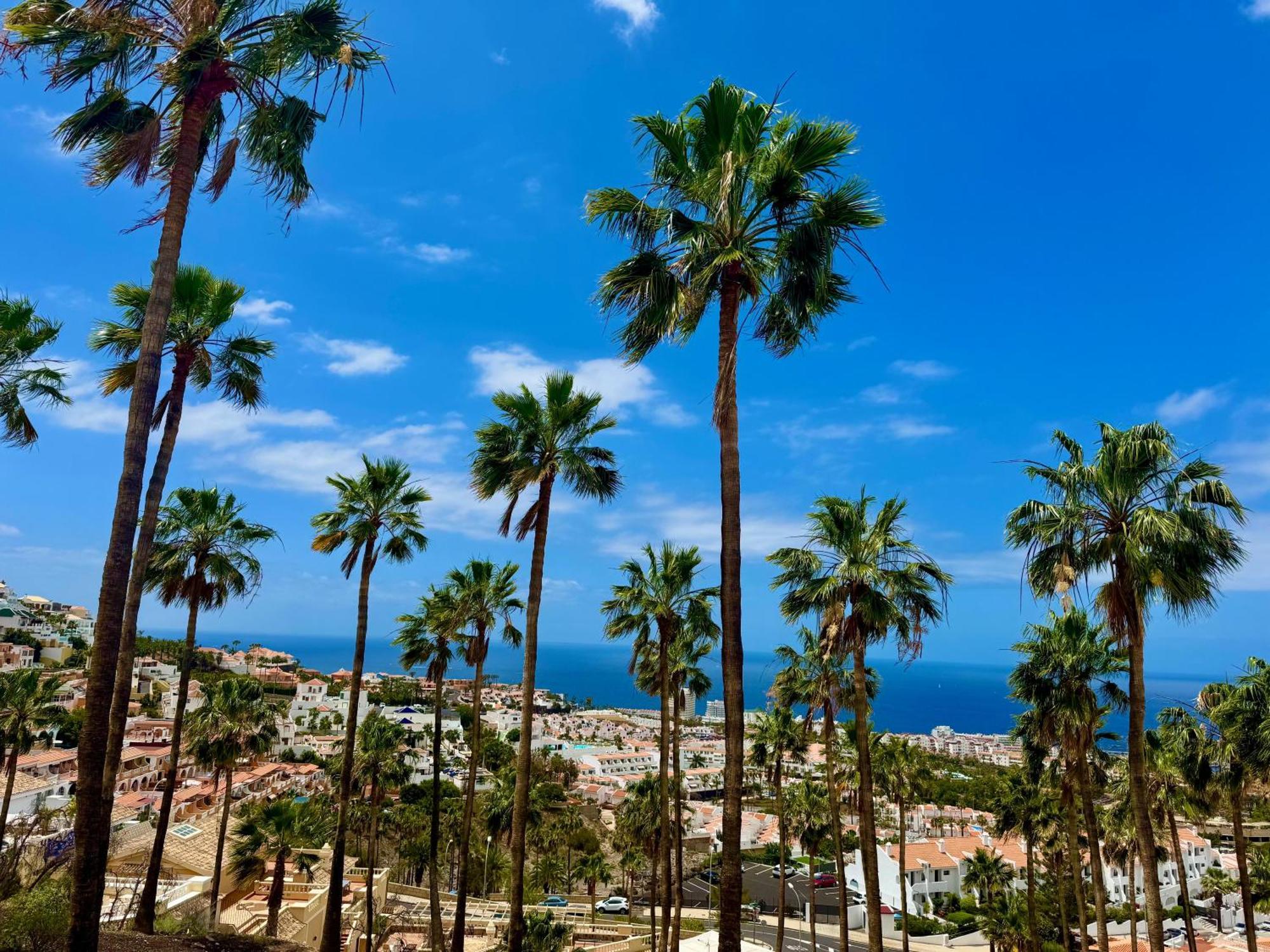 San Eugenio Charming Renovated Apartment Tenerife Costa Adeje  Ngoại thất bức ảnh