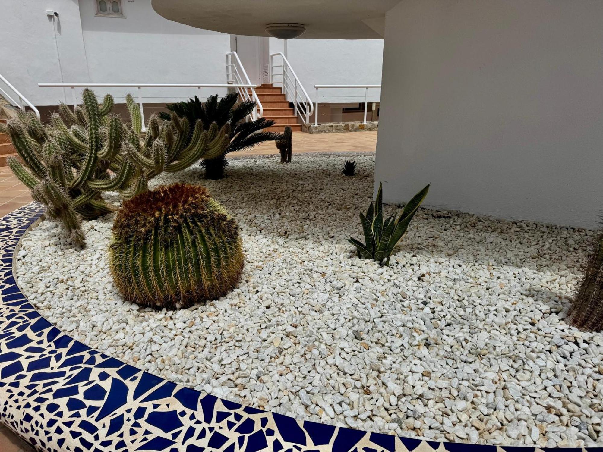 San Eugenio Charming Renovated Apartment Tenerife Costa Adeje  Ngoại thất bức ảnh